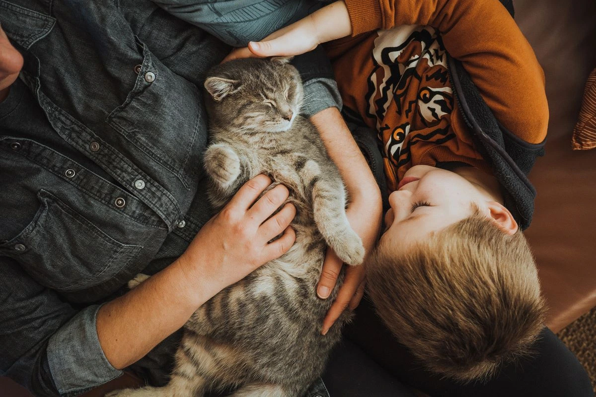 Person and child cuddling a sleeping cat on a couch.