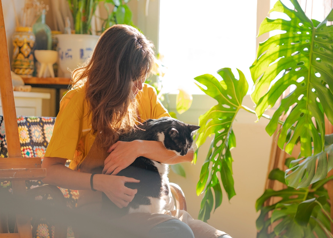 Persona con camiseta amarilla sosteniendo un gato blanco y negro en una habitación soleada con plantas.