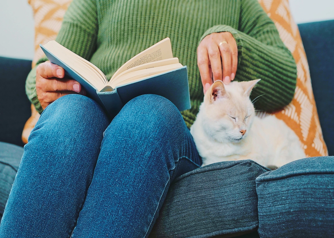 Person reading a book with a sleeping cat on their lap.