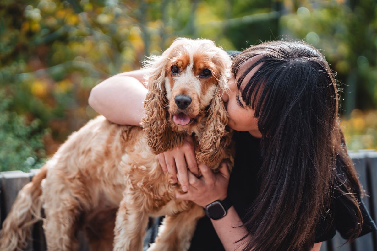 Woman hugging and kissing a golden spaniel dog.