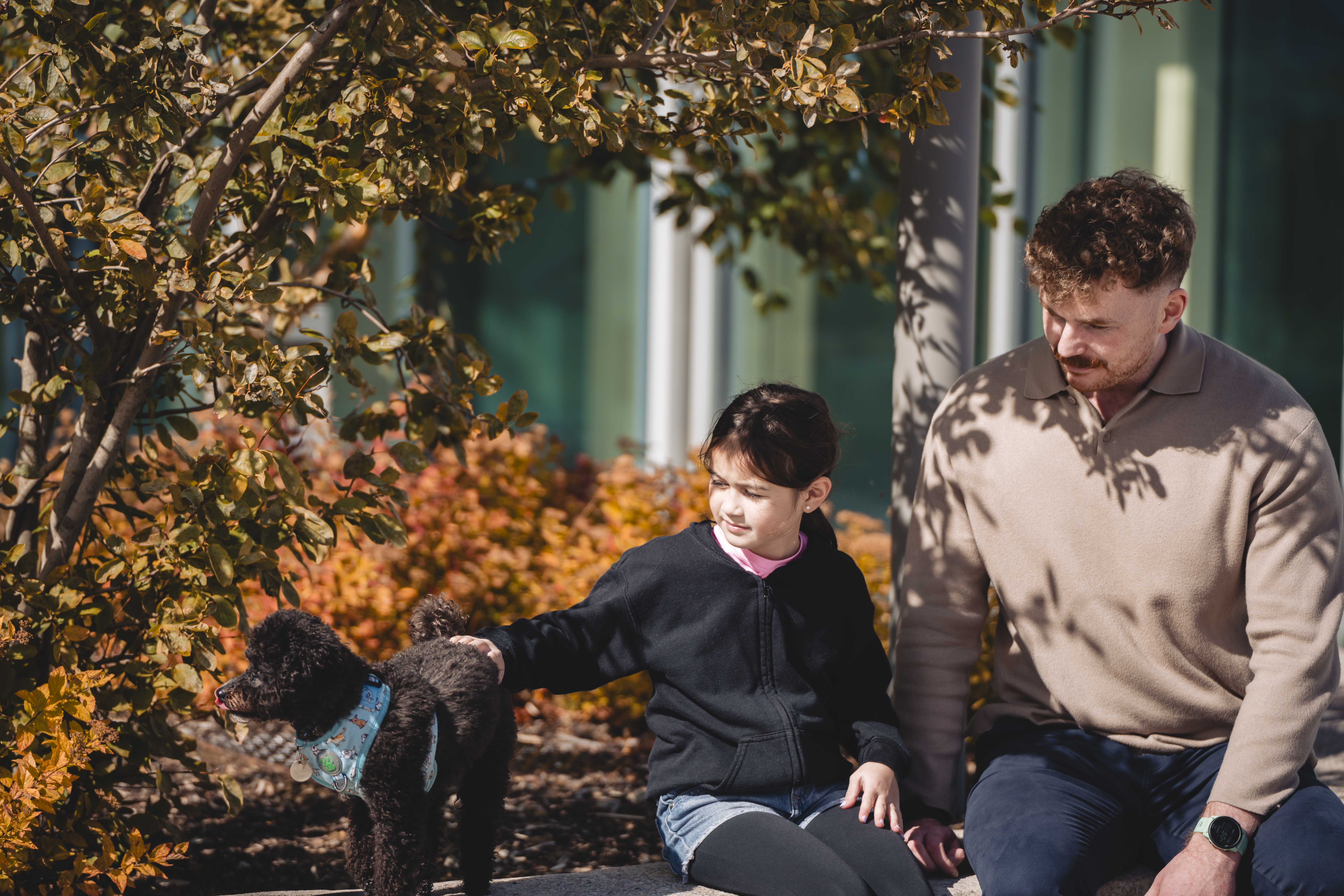 Child petting a black dog with an adult watching, autumn foliage in background.