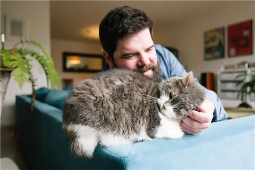 Man cuddling a fluffy cat on a blue couch.