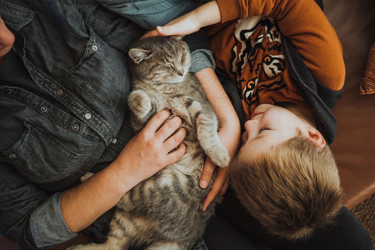 Person und Kind kuscheln eine schlafende Katze auf einer Couch.