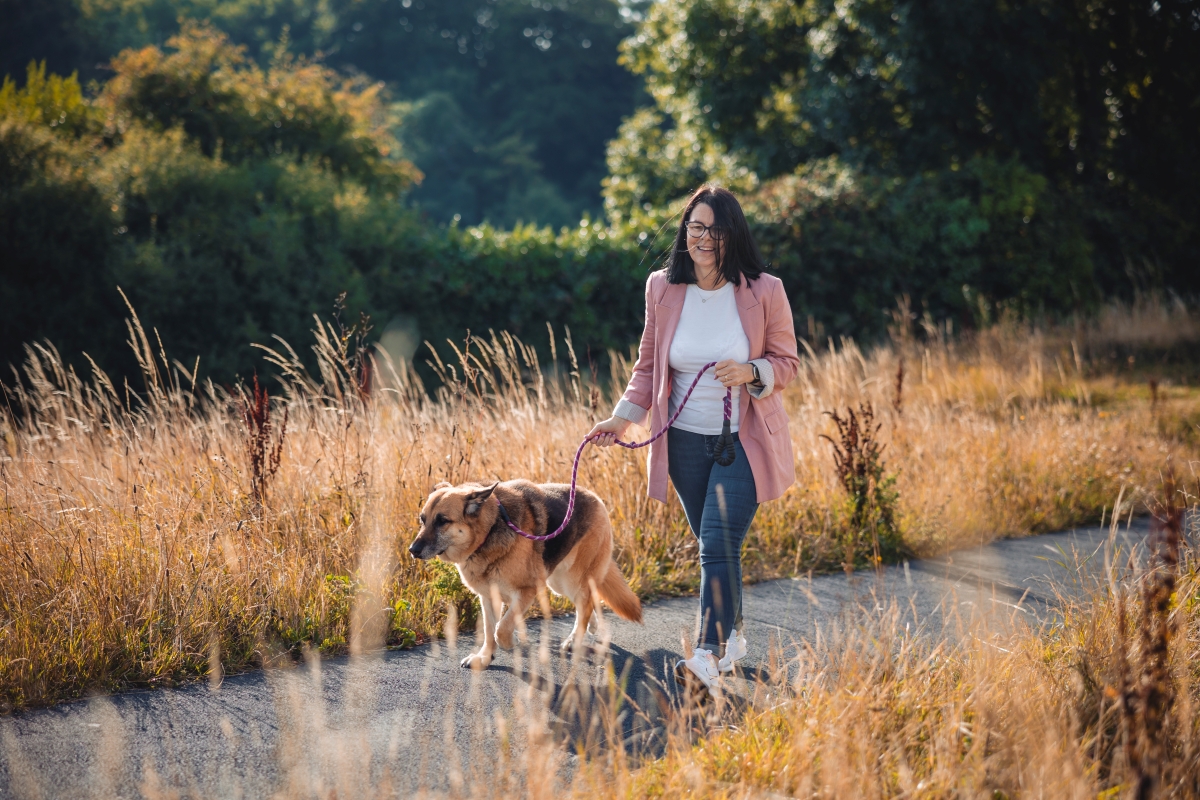 Woman walking a dog on a leash through a sunlit field.