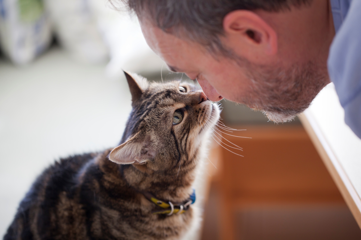 Man and tabby cat touching noses affectionately.