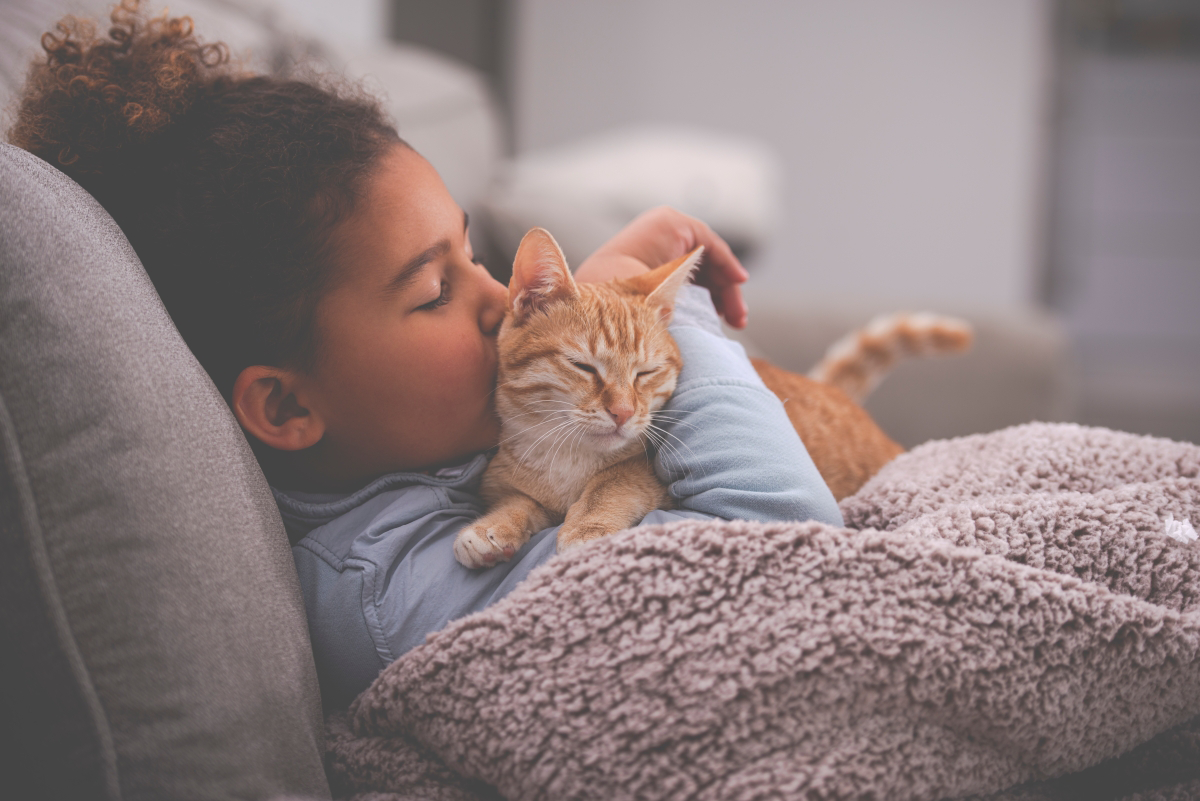 Child cuddling a sleeping orange cat on sofa.