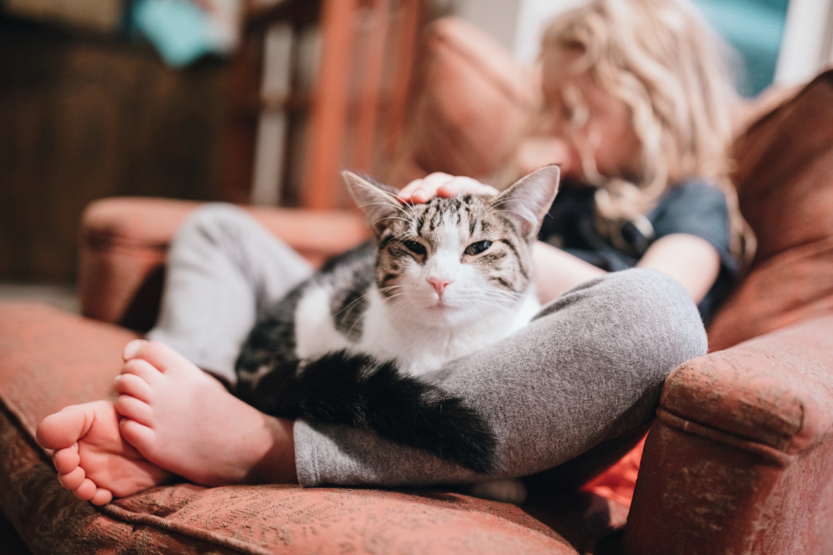 Child relaxing on couch with a cat.