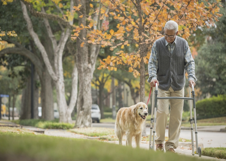 Un homme âgé, se promenant avec un déambulateur pliable et promenant un chien sur le trottoir.