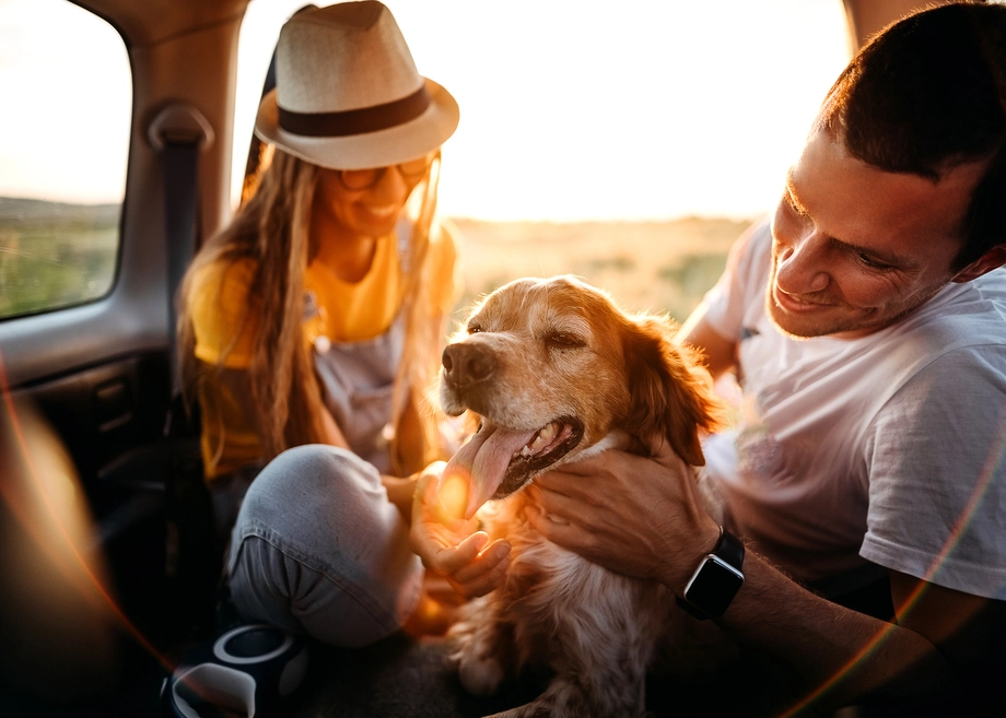 Couple happily playing with a dog inside a car at sunset.