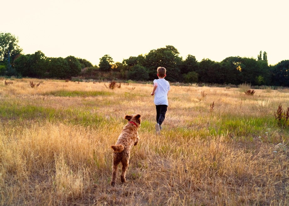 Child and dog running in a grassy field at sunset.