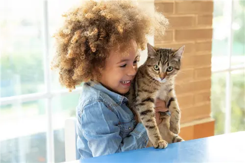 Child holding a tabby cat indoors with a smile.