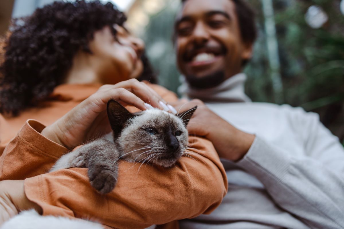Un couple sourit avec un chat siamois sur leurs genoux.