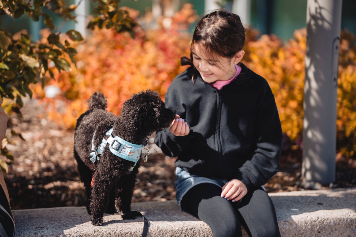 Girl feeding small black dog outdoors in autumn.