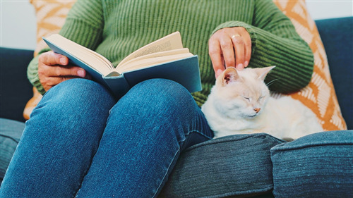 Person reading a book with a sleeping cat on their lap.