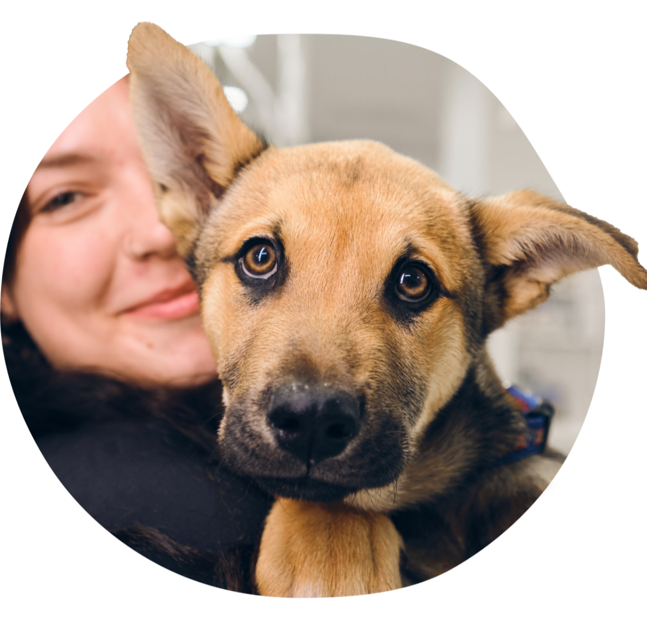 Mujer abrazando a un perro marrón con una expresión curiosa