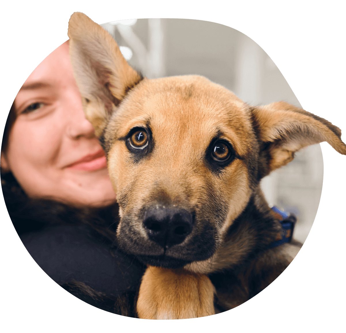 Frau umarmt einen braunen Hund mit neugierigem Gesichtsausdruck