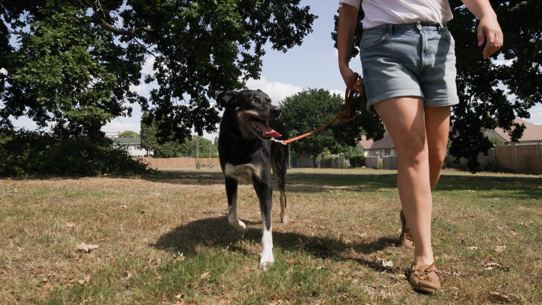 Text "Spotting signs of arthritis" with orange swirl on white background.