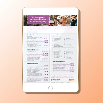 Tablet displaying a pamphlet about itchy dog treatment options.