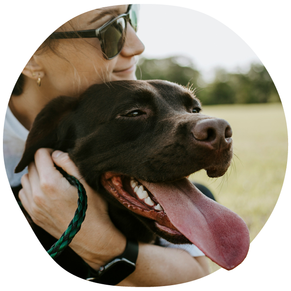 Perro feliz después del tratamiento de alergia con Apoquel.