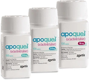 Apoquel 5.4 mg tablet box for dogs, 20 tablets.