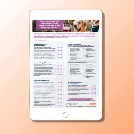 Tablet displaying a pamphlet about itchy dog treatment options.