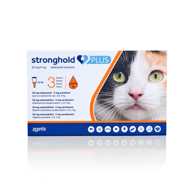 Stronghold Plus cat treatment packaging with cat photo.