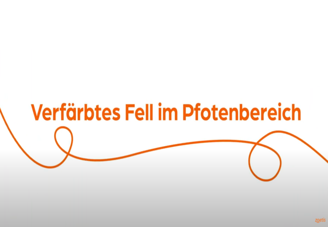 Text „Verfärbtes Fell im Pfotenbereich“ mit orangefarbener Spirale auf weißem Hintergrund.