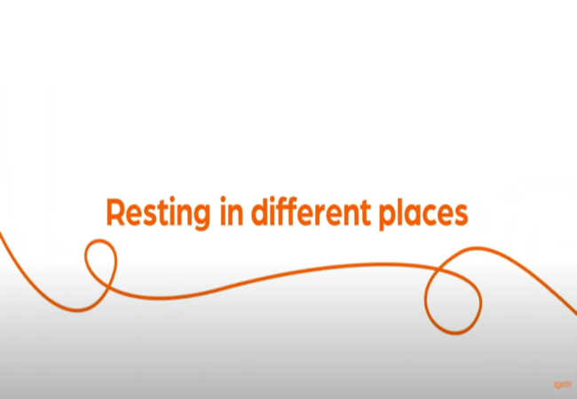 Text "Resting in different places" with orange swirl on white background.