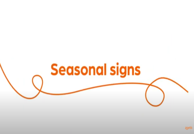Text "Seasonal signs" with orange swirl on white background.