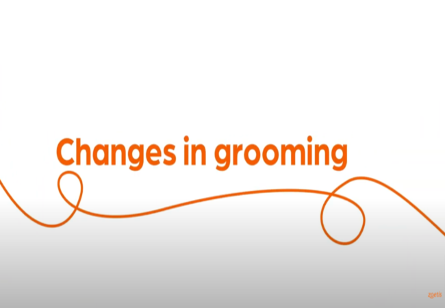 Text "Changes in grooming" with orange swirl on white background.