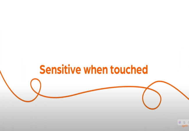 Text "Sensitive when touched" with orange swirl on white background.