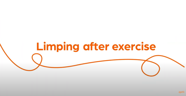 Text "Limping after exercise" with orange swirl on white background.