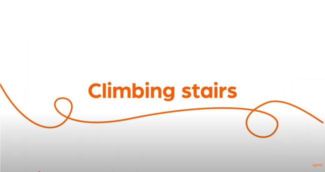 Text "Climbing stairs" with orange swirl on white background.