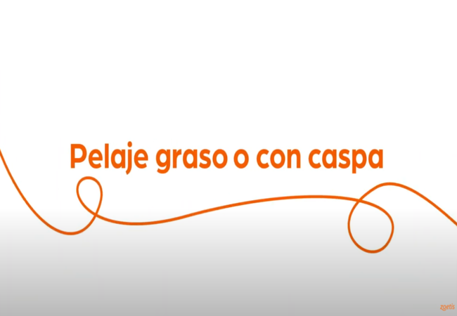 Texto "Pelaje graso o con caspa" con espiral naranja sobre fondo blanco.
