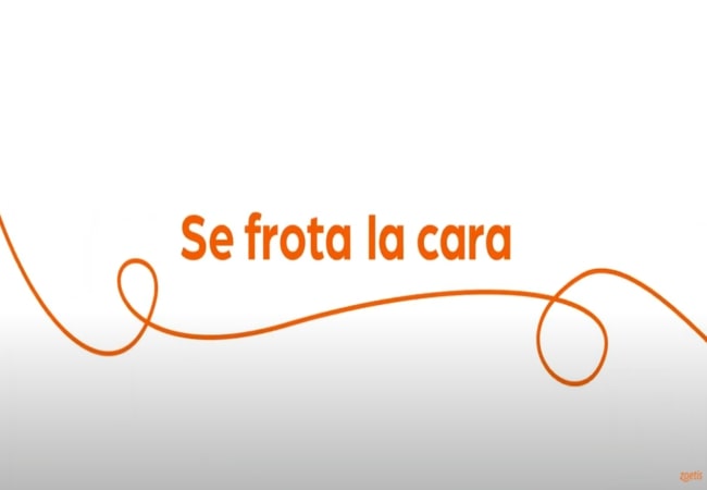 Texto "Se frota la cara" con espiral naranja sobre fondo blanco.