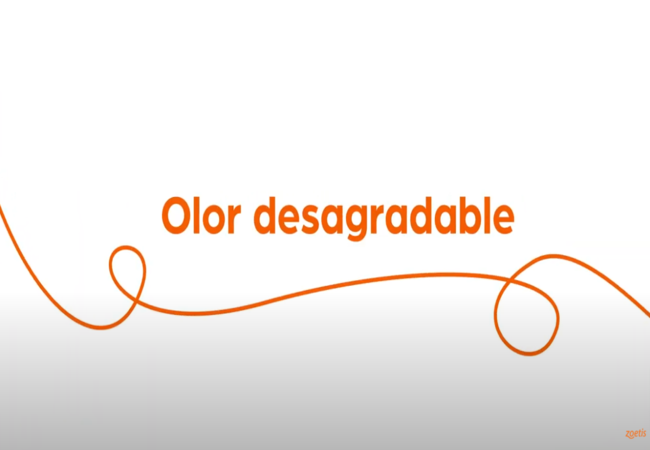 Texto "Olor desagradable" con espiral naranja sobre fondo blanco.