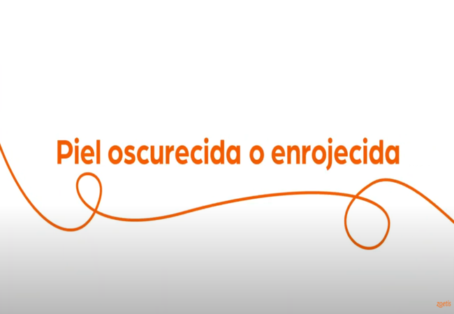 Texto "Piel oscura o enrojecida" con espiral naranja sobre fondo blanco.