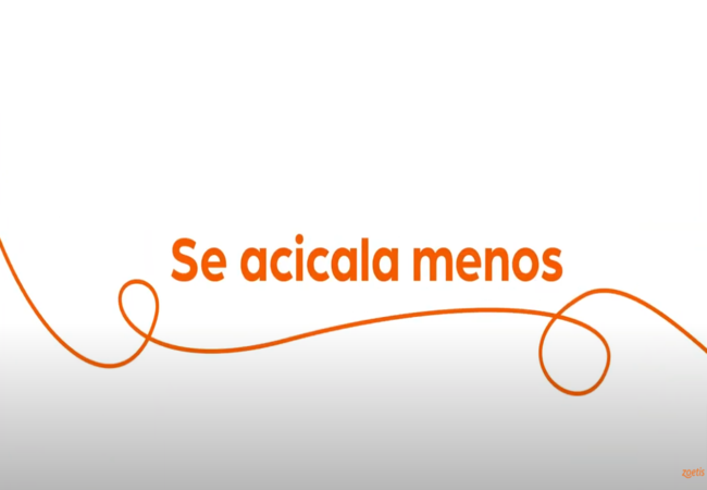 Texto "Se acicala menos" con espiral naranja sobre fondo blanco.