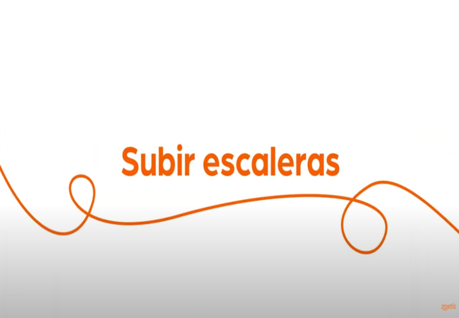 Texto "Subir escaleras" con espiral naranja sobre fondo blanco.