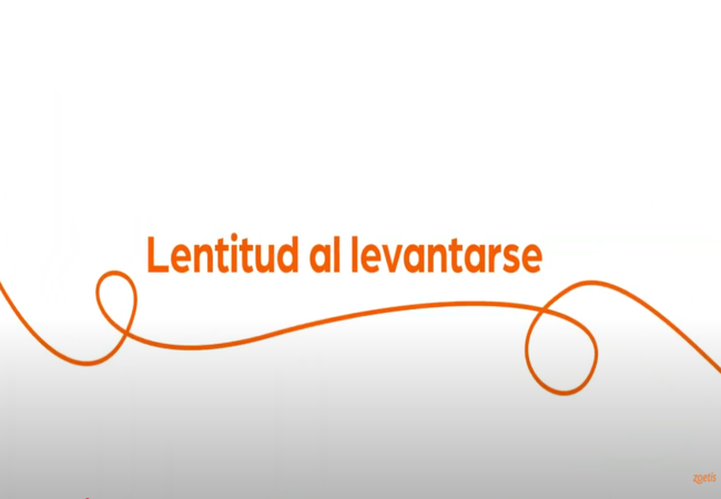 Texto "Lentitud al levantarse" con espiral naranja sobre fondo blanco.