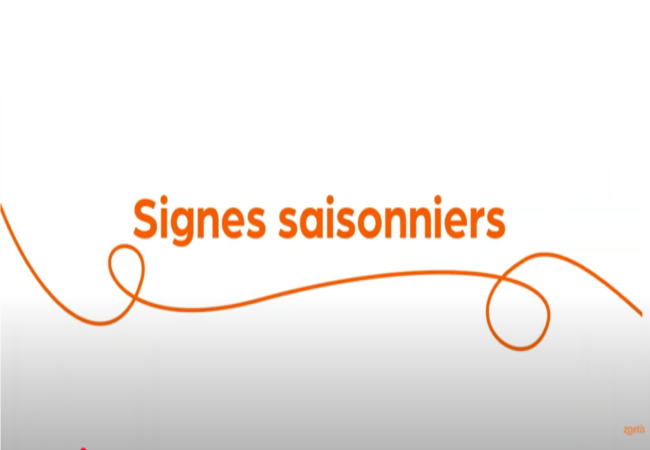Texte « Signes saisonniers » avec une spirale orange sur fond blanc.