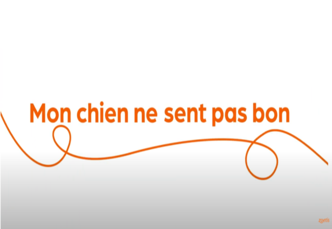 Texte « Mon chien ne sent pas bon » avec une spirale orange sur fond blanc.