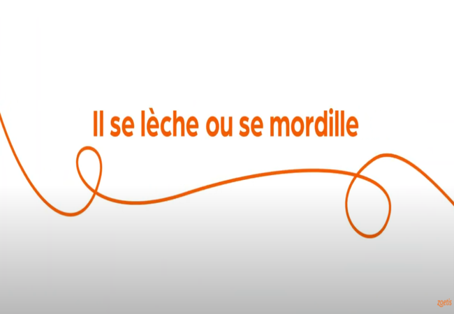 Texte « Il se lèche ou se mordille » avec une spirale orange sur fond blanc.