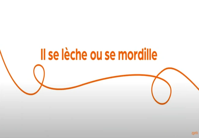 Texte « Il se lèche ou se mordille » avec une spirale orange sur fond blanc.