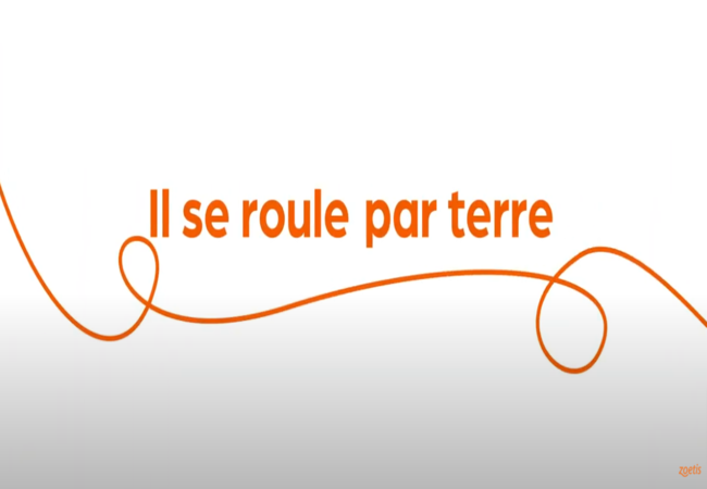 Texte « Il se roule par terre » avec une spirale orange sur fond blanc.