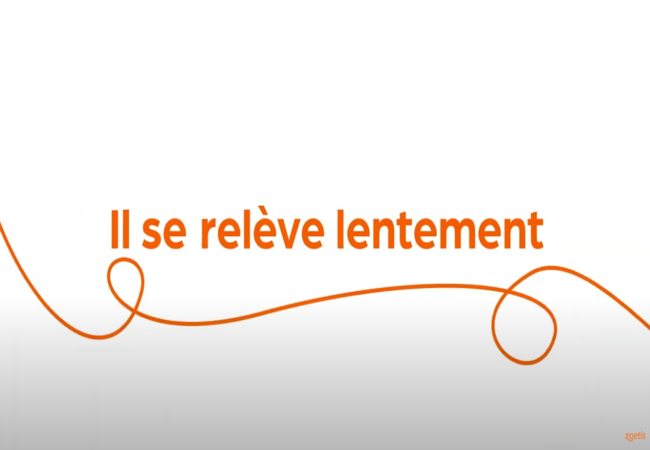 Texte « Il se relève lentement » avec une spirale orange sur fond blanc.