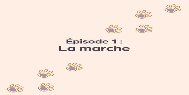 Texte «  Épisode 1: La marche en laisse » avec empreinte de patte sur fond orange clair.