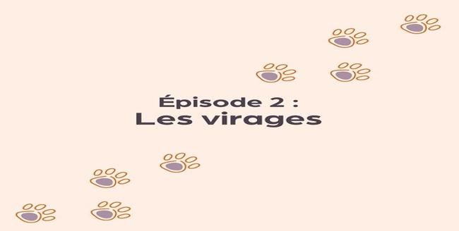 Texte «  Épisode 2: Les changements de direction  » avec empreinte de patte sur fond orange clair.
