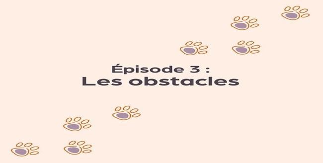 Texte «  Épisode 3: Les obstacles » avec empreinte de patte sur fond orange clair.