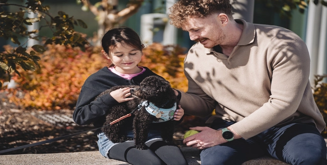 Petit chien duveteux levant les yeux avec une expression curieuse.